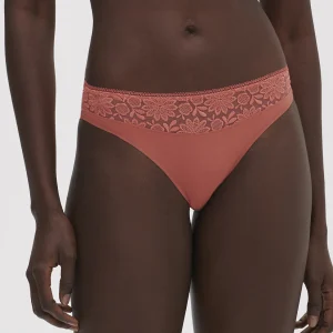Culotte - Rose Texas