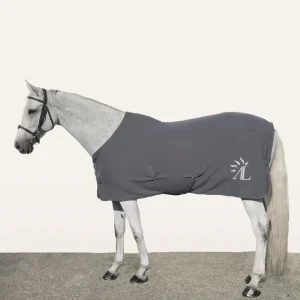 Chemise Polaire Grise, Broderie Argent