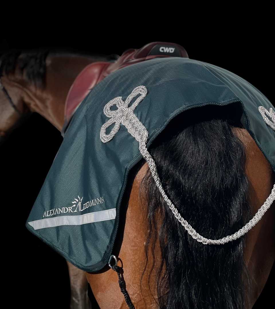 Couvre-reins Vert Sapin & Silver, imperméable avec doublure polaire – Image 2