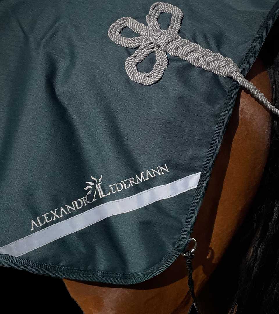 Couvre-reins Vert Sapin & Silver, imperméable avec doublure polaire – Image 5