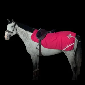 Couvre-reins Rose Framboise & Silver, imperméable avec doublure polaire