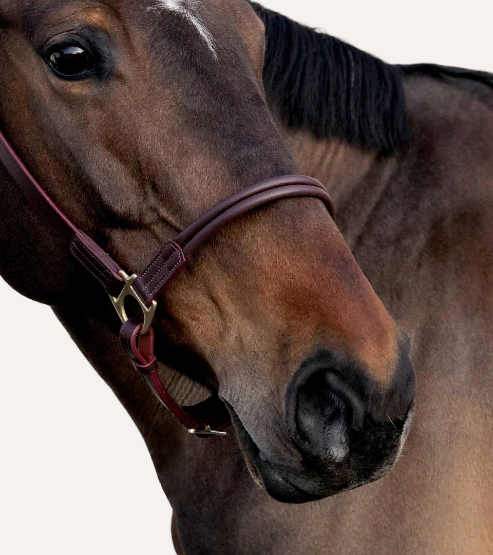 Licol Grooming Cuir Acajou – Image 2