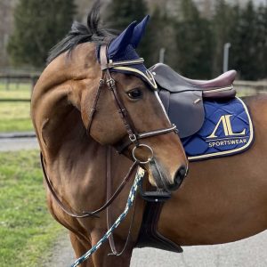 Tapis de Selle Bleu Marine, 2 Cordes Or