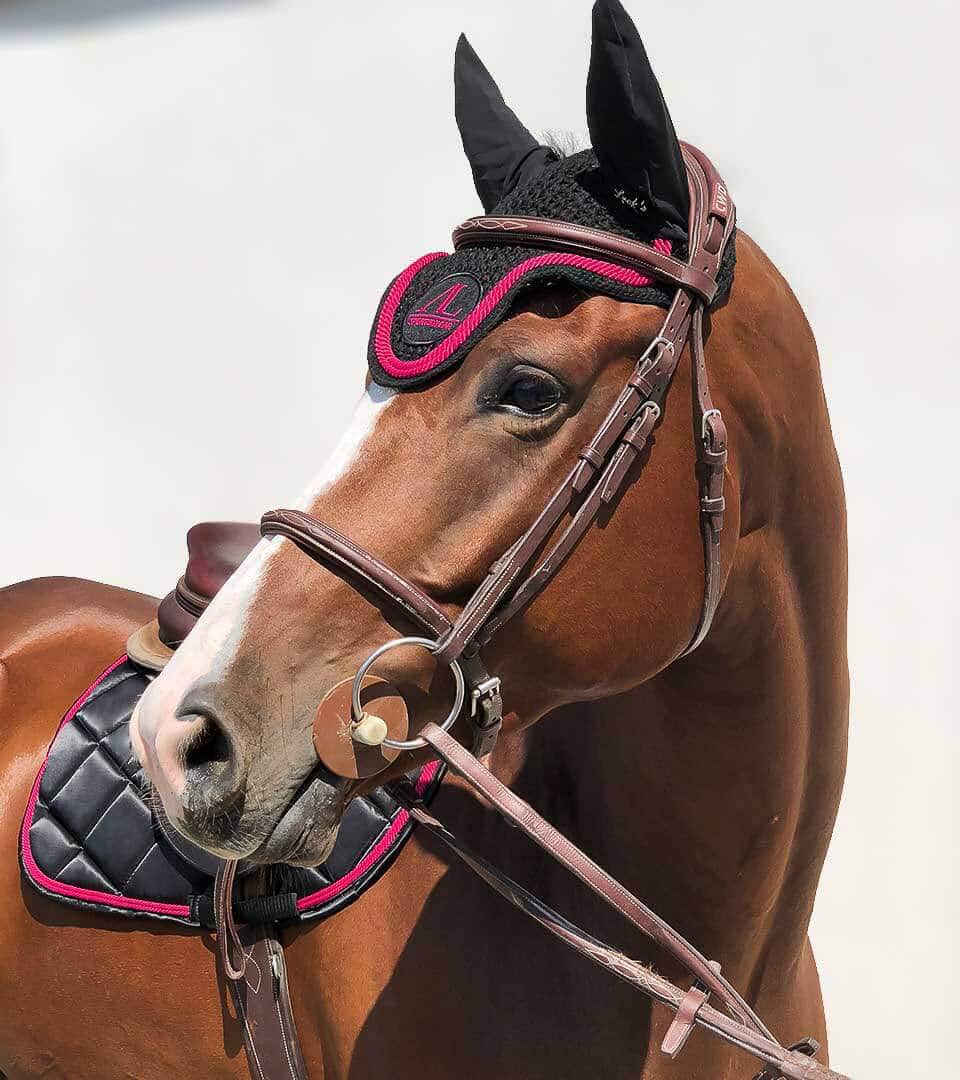 Bonnet Noir, 2 Cordes Magenta