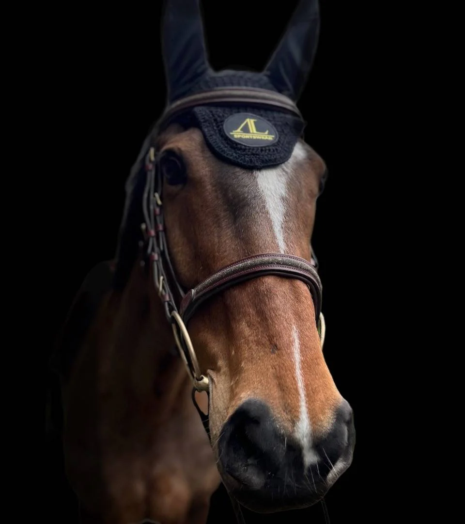 Bonnet Noir & Jaune Eclat