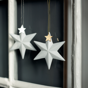 Etoile en Porcelaine | Gold Star